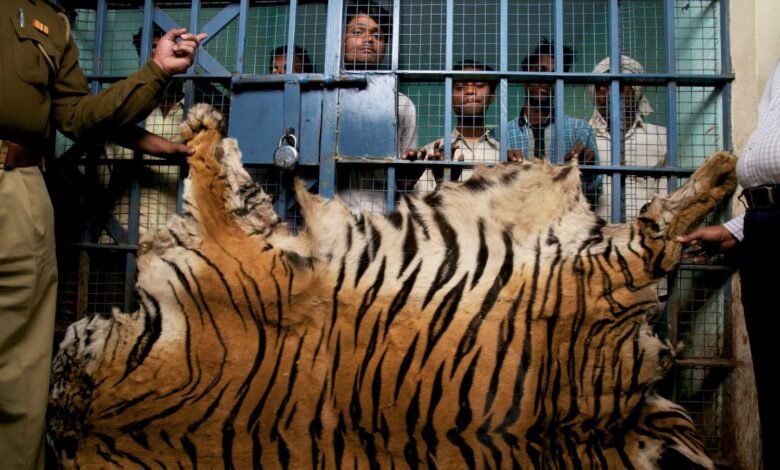 1NG_LIVE189_KB-780x470